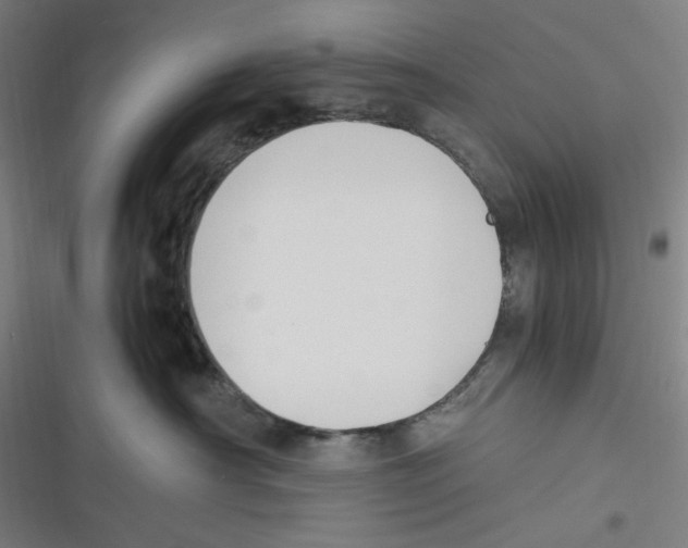 X0000116620430201001081235