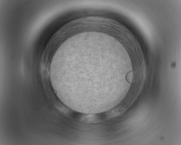 X0000116620431201001081235