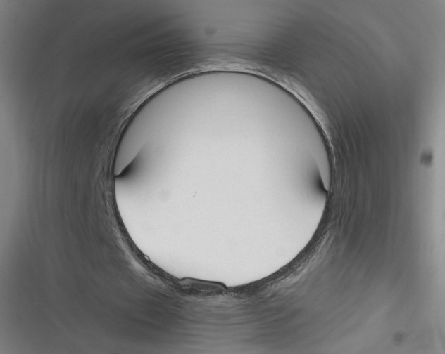 X0000116620433201001081235