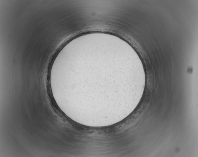 X0000116620434201001081235