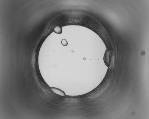 X0000116620435201001081235