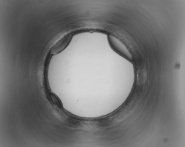 X0000116620436201001081235