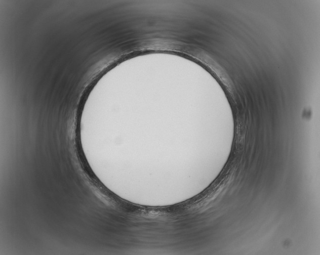 X0000116620437201001081235