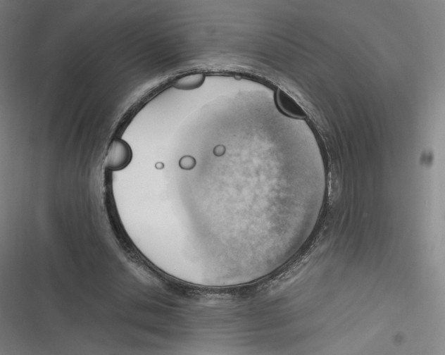 X0000116620438201001081235