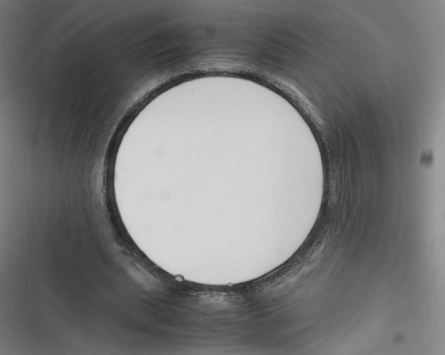 X0000116620439201001081235