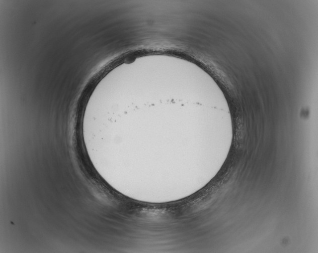 X0000116620440201001081235