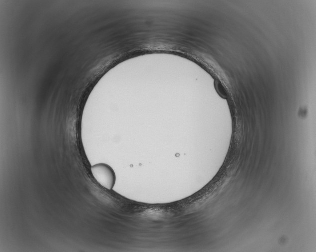 X0000116620441201001081235