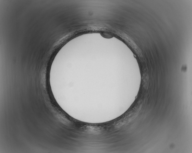 X0000116620442201001081235