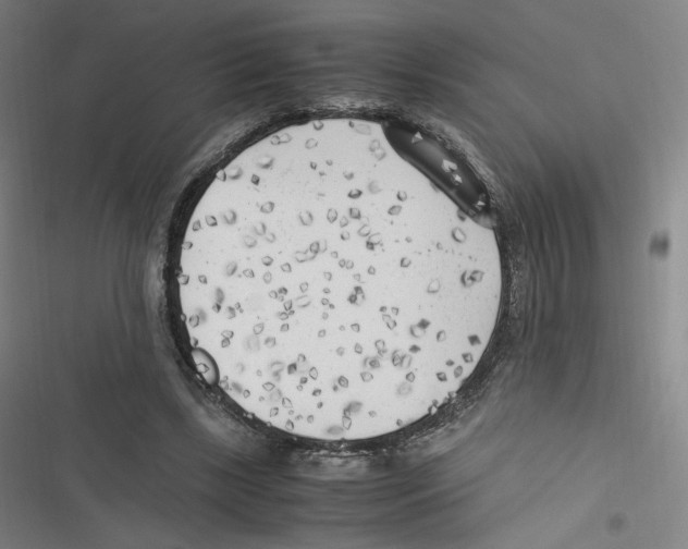 X0000116620443201001081235