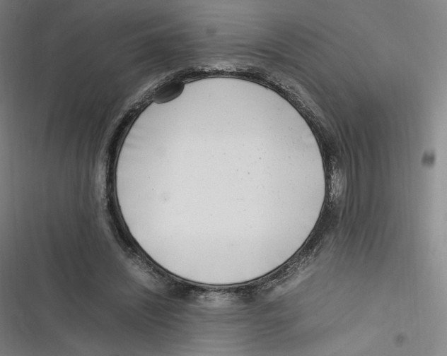 X0000116620444201001081235