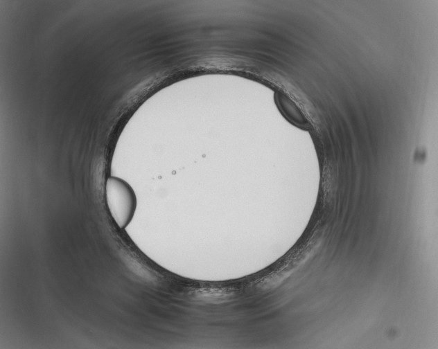 X0000116620445201001081235