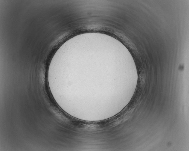 X0000116620446201001081235