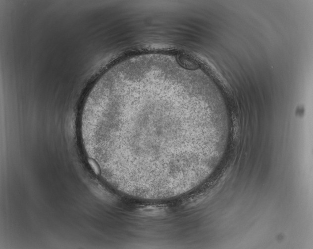 X0000116620447201001081235