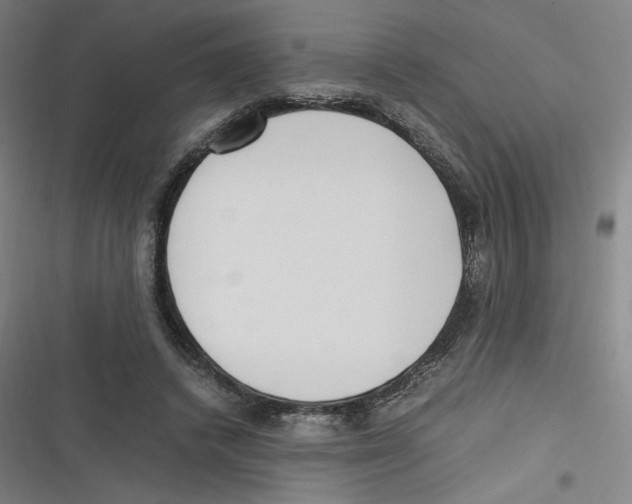 X0000116620448201001081235