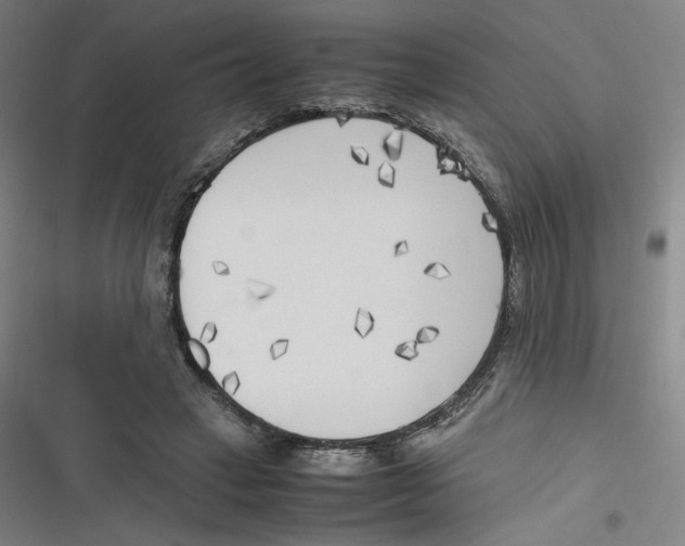 X0000116620449201001081235