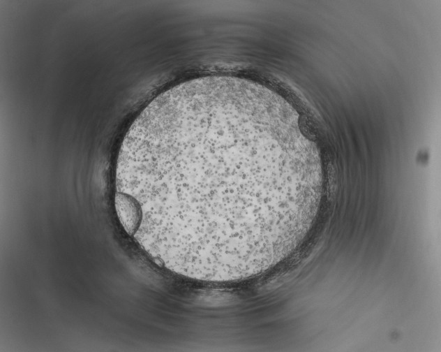 X0000116620451201001081235