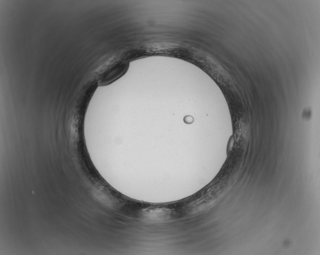 X0000116620452201001081235