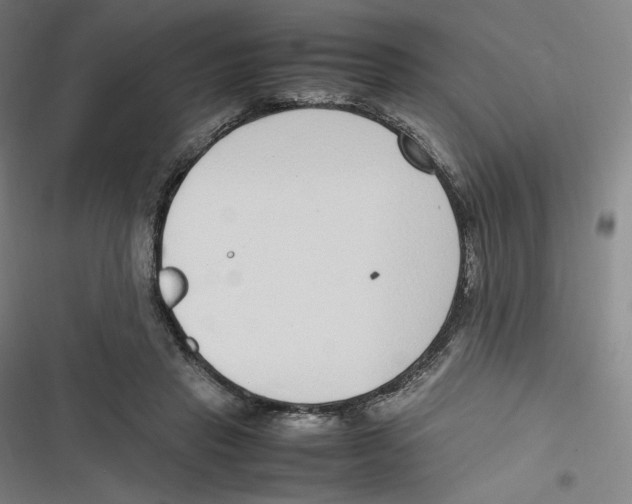 X0000116620453201001081235