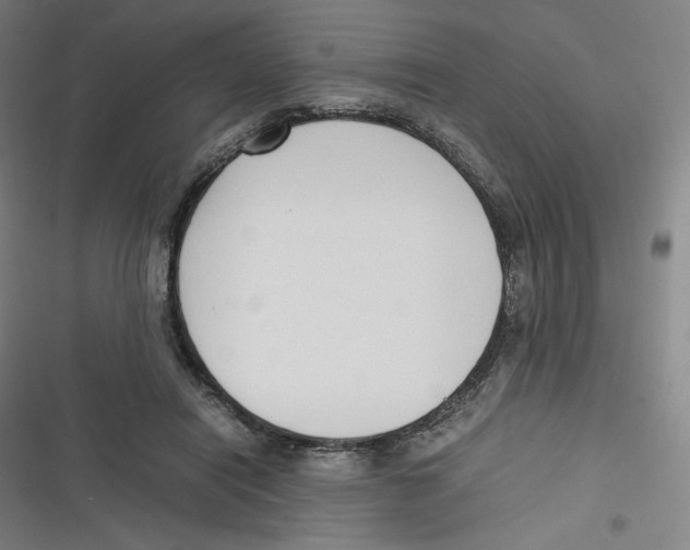 X0000116620454201001081235