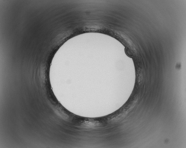 X0000116620455201001081235