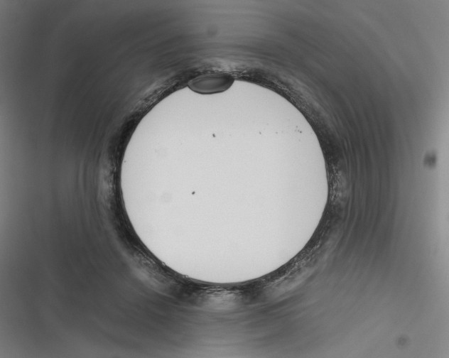 X0000116620456201001081235