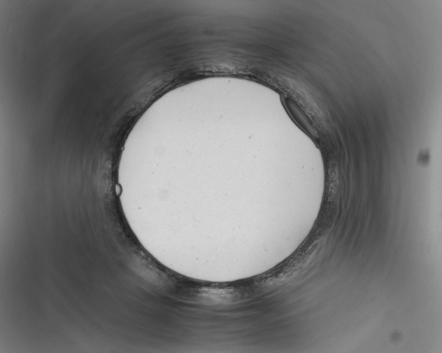 X0000116620457201001081235