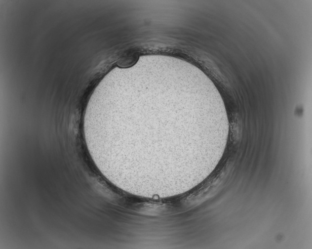 X0000116620458201001081235