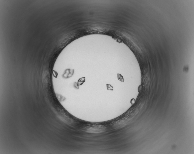 X0000116620459201001081235