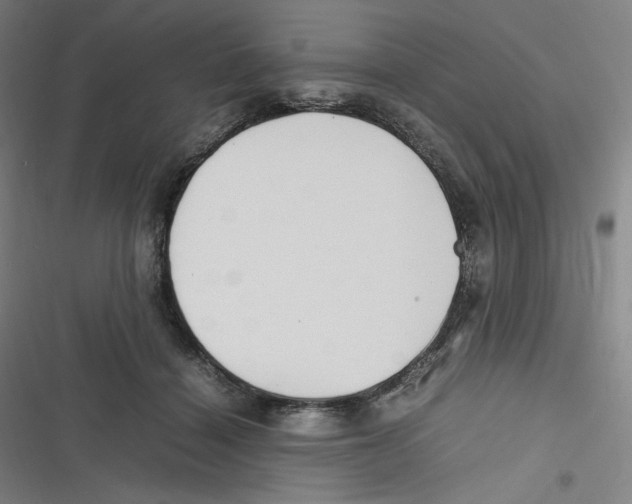 X0000116620460201001081235