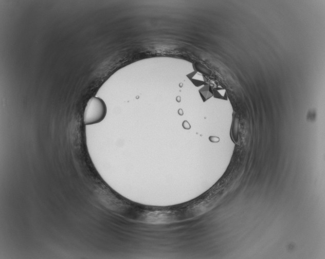 X0000116620461201001081235