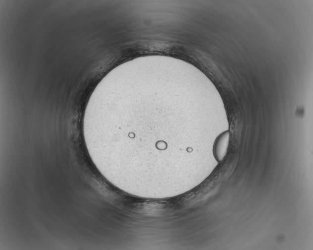 X0000116620462201001081235