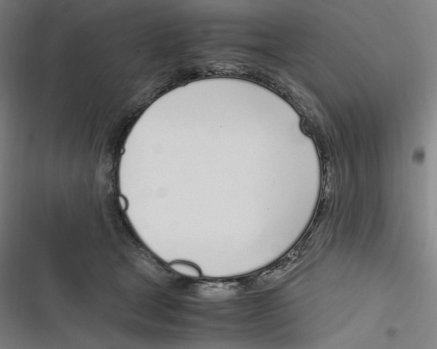 X0000116620465201001081235