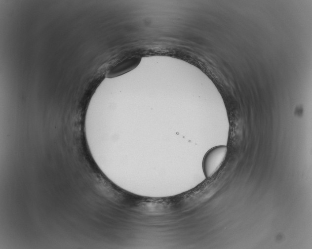 X0000116620466201001081235