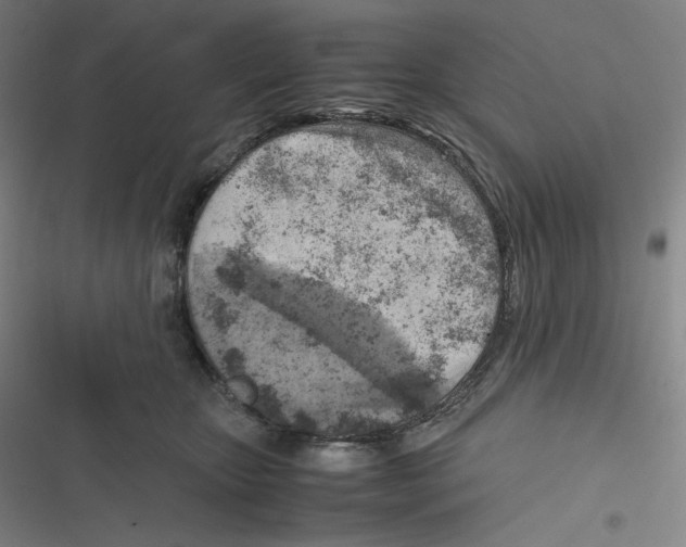 X0000116620467201001081235