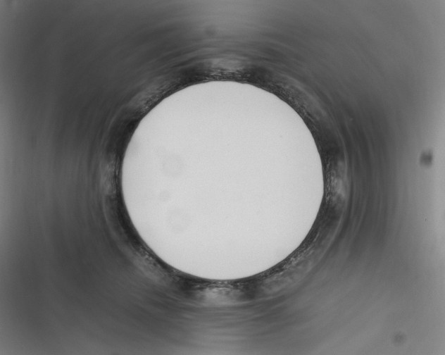 X0000116620468201001081235