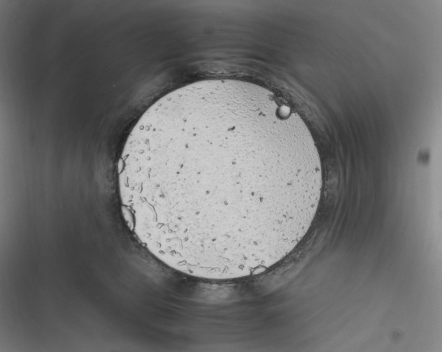 X0000116620469201001081235