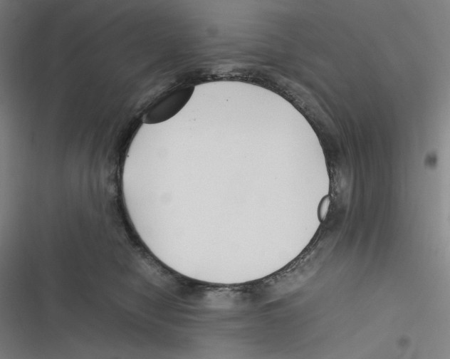 X0000116620470201001081235