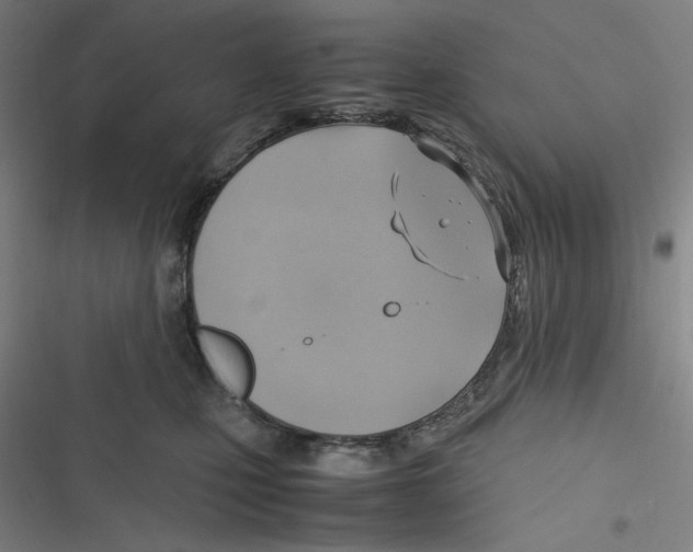 X0000116620471201001081235