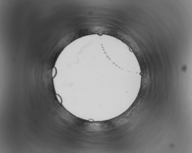 X0000116620473201001081235