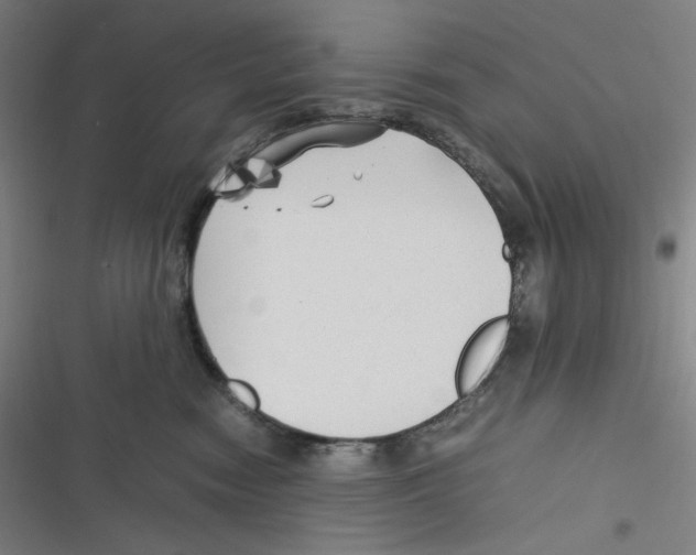 X0000116620474201001081235