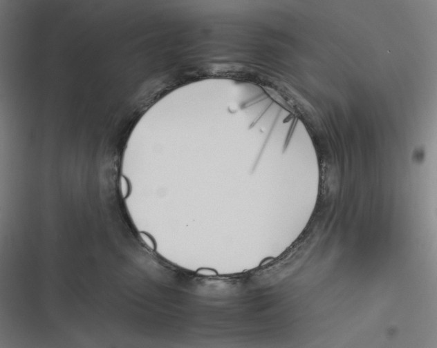 X0000116620475201001081235