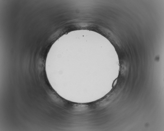 X0000116620476201001081235