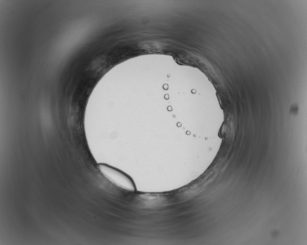 X0000116620477201001081235