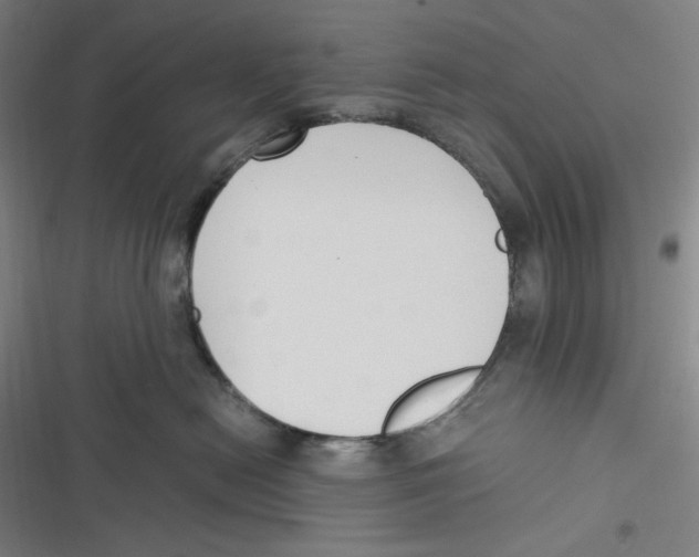 X0000116620478201001081235