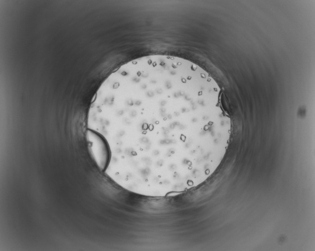 X0000116620479201001081235