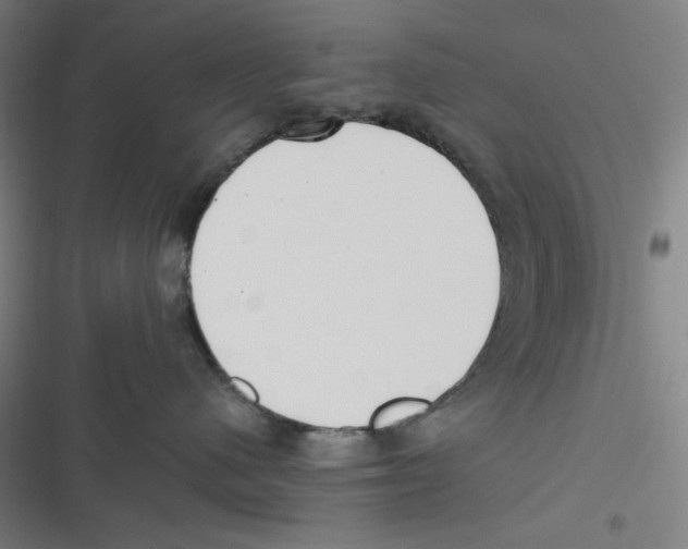 X0000116620480201001081235