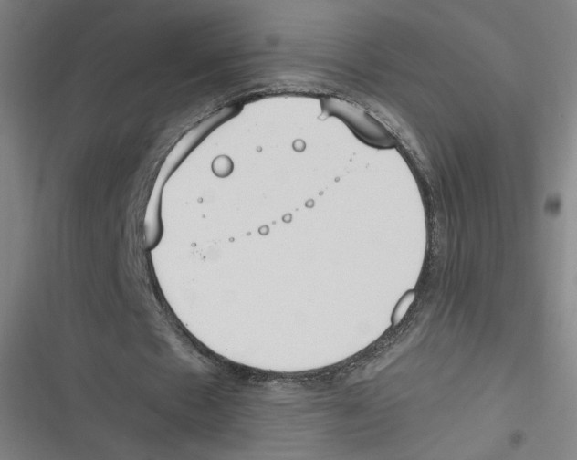 X0000116620481201001081235