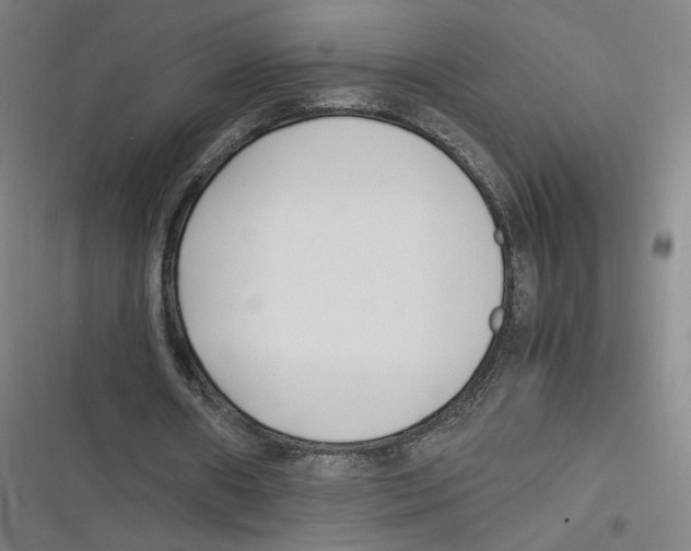 X0000116620482201001081235