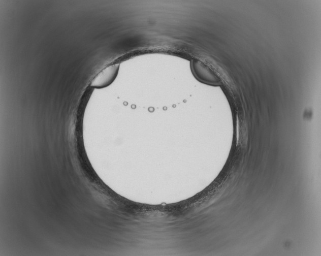 X0000116620483201001081235