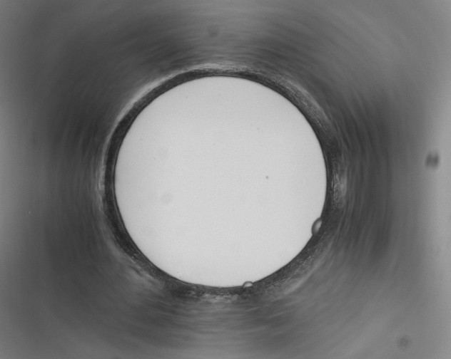 X0000116620484201001081235